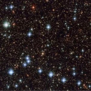 Meet your Posher, Erandi